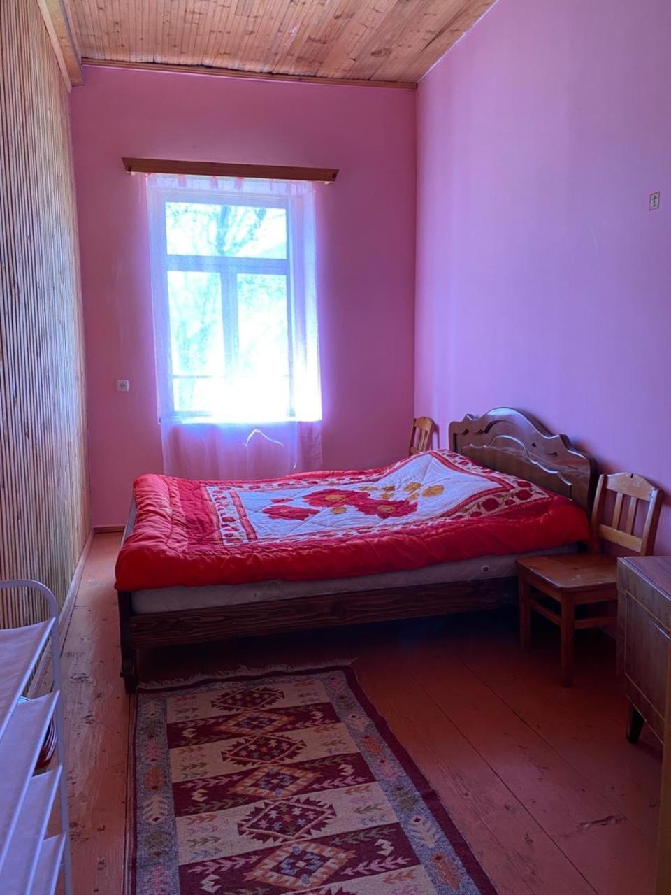 Lia Jamdeliani Guest House Bagvdanari Luaran gambar