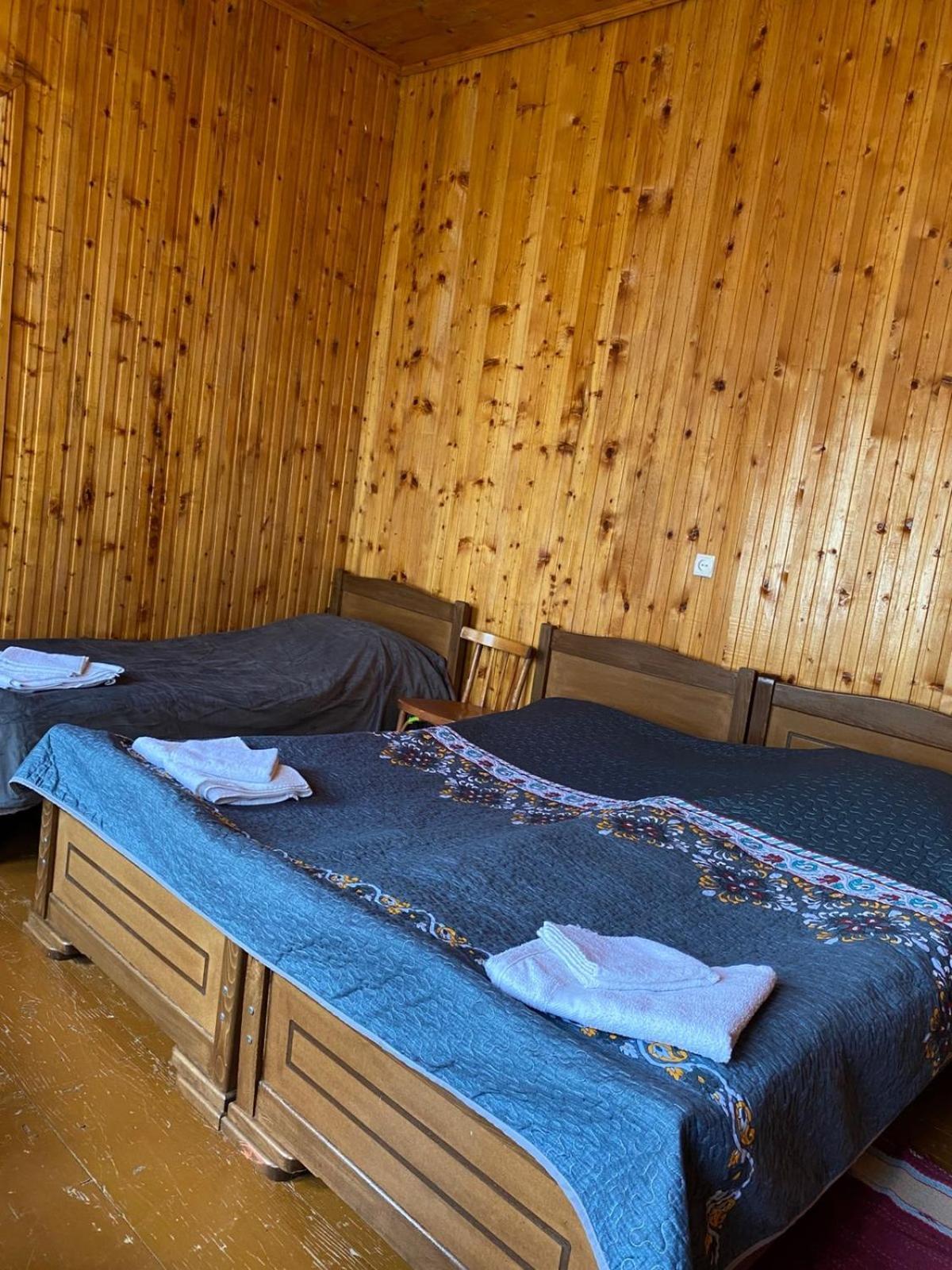 Lia Jamdeliani Guest House Bagvdanari Luaran gambar