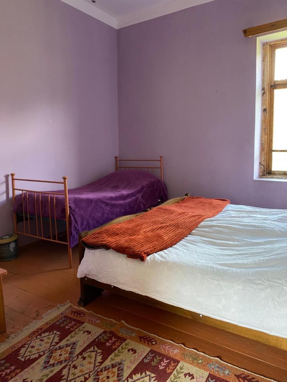 Lia Jamdeliani Guest House Bagvdanari Bilik gambar